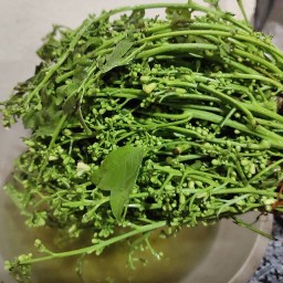 เมี่ยงคำใบชะพลู สะเดาน้ำปลาหวาน