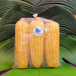 ข้าวโพดหวานต้ม