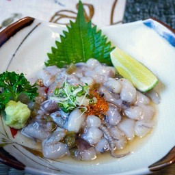 TAKO WASABI