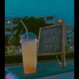 มะนาวน้ำผึ้ง 1