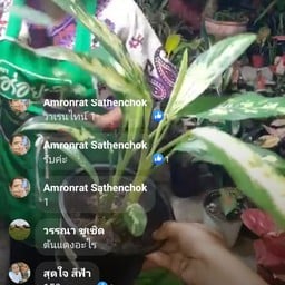 ร้านส้มตำช้าง-อุ้ม