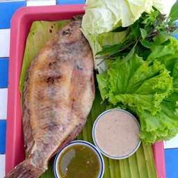 จักษ์ปลาเผา