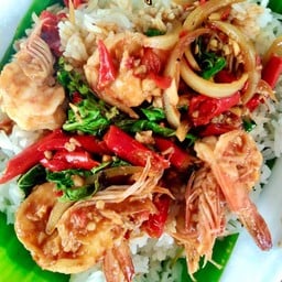 ร้าน คั่วป่า (อาหารตามสั่ง- อาหารป่าพื้นบ้าน) -