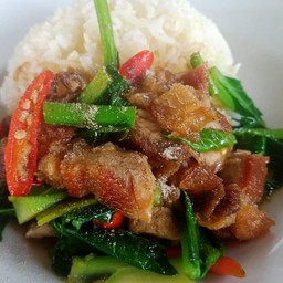 ข้าวคะน้าหมูกรอบ