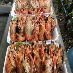 อาหารตามสั่ง & อาหารป่ารสจัดจ้าน จอยจ๋า ศาลาแดง