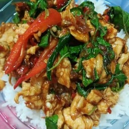 ผัดกระเพราไก่ราดข้าว