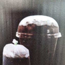 โอเลี้ยง