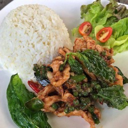 ข้าวไก่ผัดพริกไทยอ่อน
