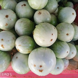 มะเขือเปาะ