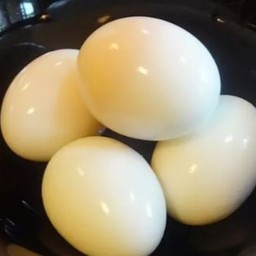 หนามเตย