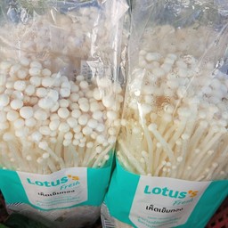 เห็ดเข็มทอง