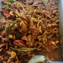 ผัดเผ็ดหมูป่า