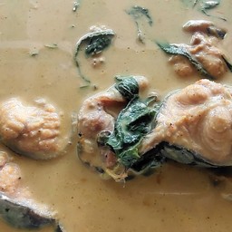 แกงกะทิปลาดุก