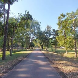 วัดนางพญา