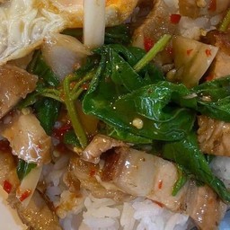 ข้าวราดกระเพราหมูกรอบ