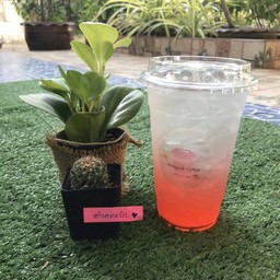 สตอเบอรรี่โซดา