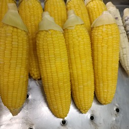 ข้าวโพดต้ม