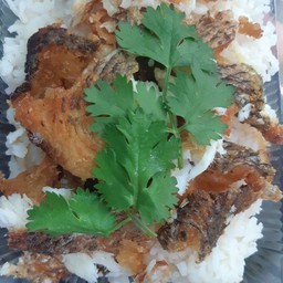 ข้าวปลาแกะ