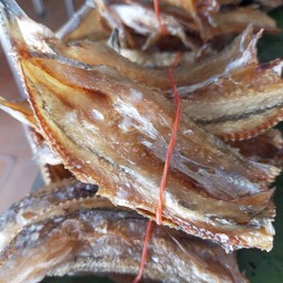 ปลาจิ๊กโก๋ทอด