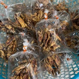 ปลาหมึกทอด