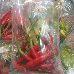 พริกแดงก้าน