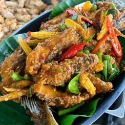 ปลากะพงหลงป่า ตัว