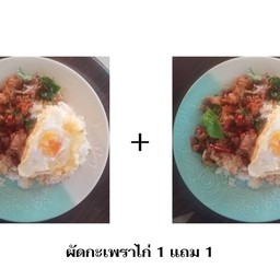 ผัดกะเพราไก่+ผัดกะเพราไก่