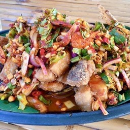 ปลากะพงลุยสวนสมุนไพร