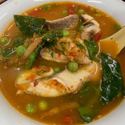 แกงป่าปลากะพง ใหญ่