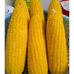 พิเศษข้าวโพด