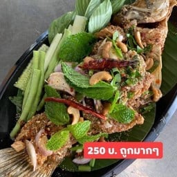 ปลากะพงน้ำตก