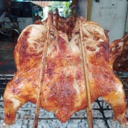 ไก่ย่างวิเชียรบุรี 79 เพชรเกษม 79