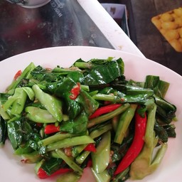 คะน้าไฟแดง