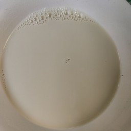 น้ำเต้าหู้นมสด