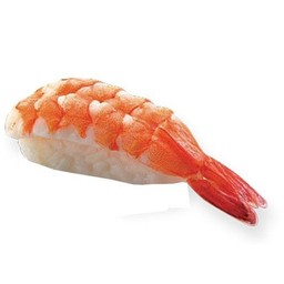 ซูชิกุ้ง