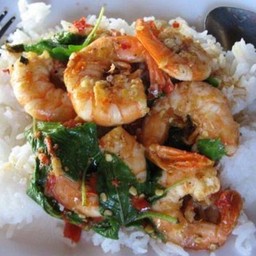 กระเพรากุ้ง