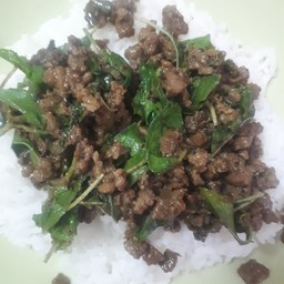 กระเพราเนื้อ