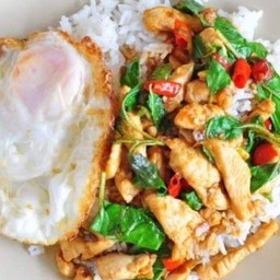 กระเพราไก่