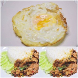ข้าวราดกะเพราไก่(ไม่รวมไข่)