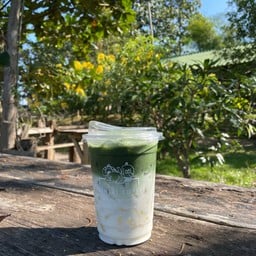 มัทฉะลาเต้