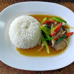 ผัดพริกหยวก เนื้อปลา ราดข้าว