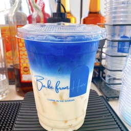 นมสดอัญชัน