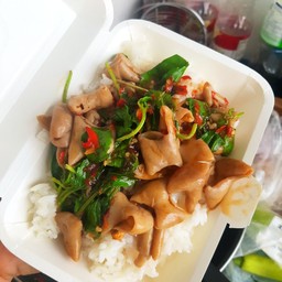 กะเพราใส้หมูพะโล้ กับข้าว