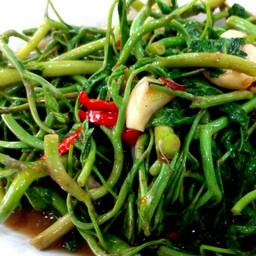 ผัดผักกระเฉดไฟแดง(กับข้าว)