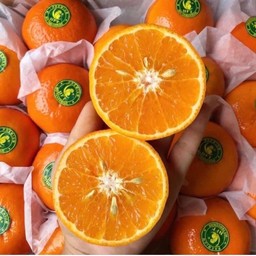 ส้มไต้หวันพรีเมี่ยม