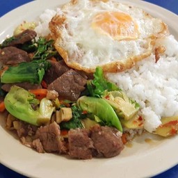 ข้าวราดกะเพราเนื้อน่องลาย (ไม่รวมไข่)