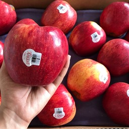 แอปเปิ้ล Envy นำเข้าจาก New Zealand