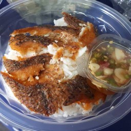 ข้าวปลาแกะ สินธานีคอนโดทาวน์