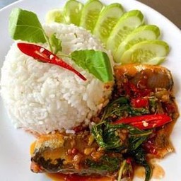 เครื่องเเกงปลากระป๋องราดข้าว