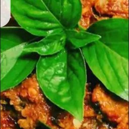 ข้าว-ผัดเครื่องแกงเนื้อ(ไข่ดาว)